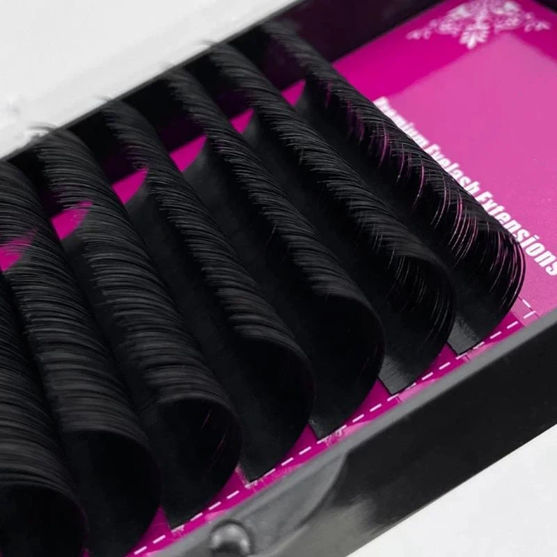 【M】Eyelash Extension Individua - Beauty - Makeup - Eyes 评论和价格